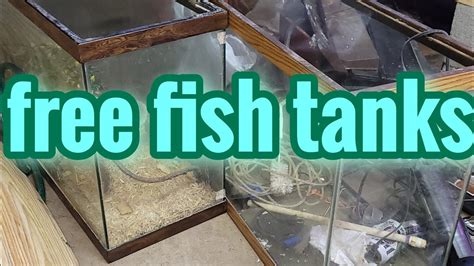 Large Fish Tank Aquarium With Rock And. . Free fish tanks near me